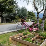 Aigle By Interhome 公寓 Sarre